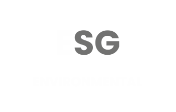 Icona ESG environment